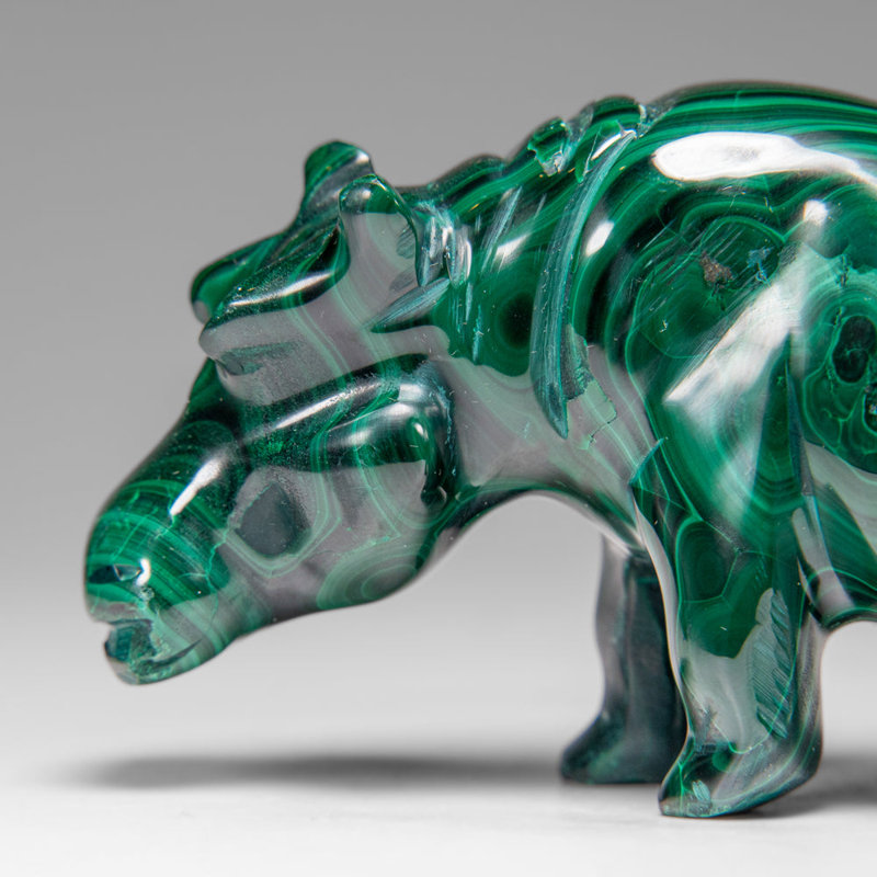 Genuine Polished Malachite Hippo Carving (303.5 Grams)
