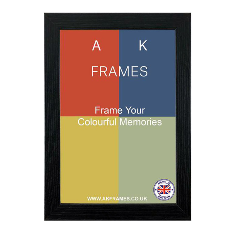 NDS Black Picture Frame
