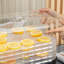 HOMCOM 245 Watt Food Dehydrator