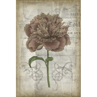 French Floral IV by Jennifer Goldberger - Wrapped Canvas Print