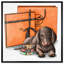Fancy Doxie - impression-33468874-33631685