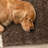 Neutral Brown Checkered Soft Shag Area Rug-481979470
