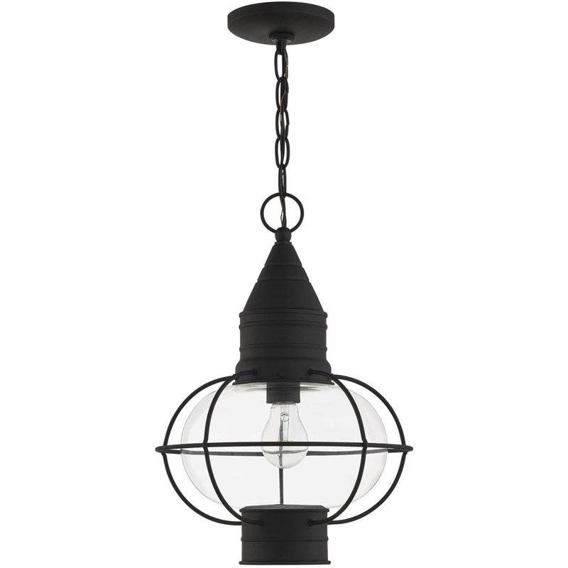 Outdoor Wall Lantern Pendant Lighting Fixture - Clear Glass Shade, Black