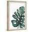 «Single Fern In White», reproduction encadrée-1098141344