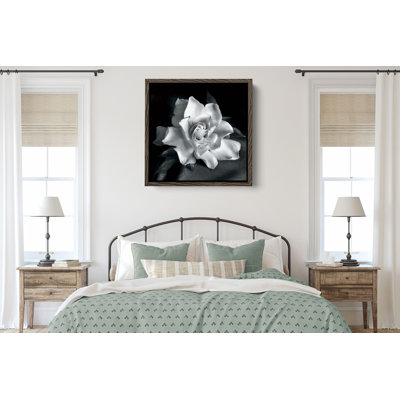"Gardenia" by Debra VanSwearingen, Fine Art Flower Photograph on Gallery Canvas