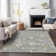 Machine Washable Indoor/Outdoor Chayden ACN1006 Gray Rug