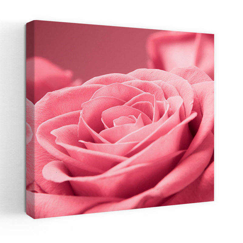 Pink Rose Abstract Contemporary Flower Landscape Art, 24" H x 24" W
