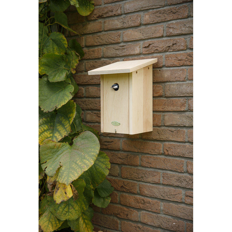 Bird House Robin in Giftbox Fsc 100%