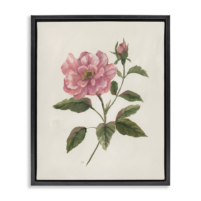 Fleur d'œillet rose simple, Cadre flottant noir de jais, H 21 po x l 17 po