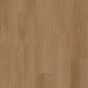 Cedar