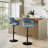 Lakyia Swivel Upholstered Adjustable Height Counter Stool with Metal Frame-99402228-99402230