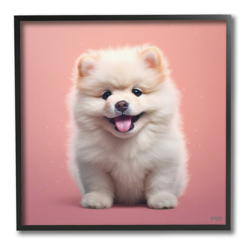 Chiot moelleux sur fond rose, estampe numérique par RB, Giclée encadrée noir minuit, H 17 po x l 17 po
