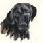 «Chrissy» par Silvia Vassileva - peinture sur toile tendue-572678547-592187417-592187429
