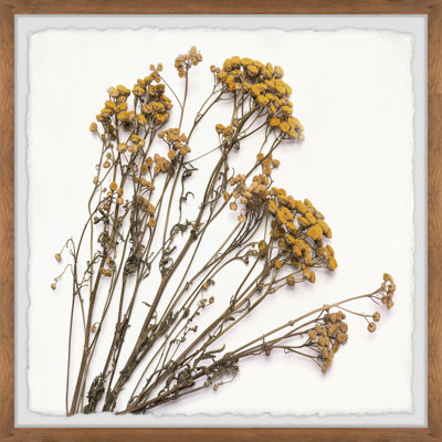 Dried Dandelion - Single Picture Frame Painting