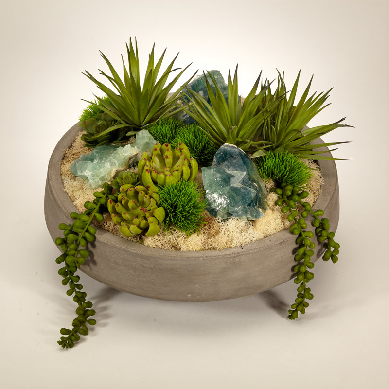 Plant in Concrete Pot