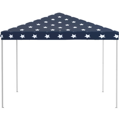 Auvent 10 'X Pop Up Pour les fêtes en plein air, le jardin et le patio. Hauteur réglable. Couverture de 100 pieds carrés pouvant accueillir 10 personnes. Installation et transport faciles. Filet protégé pour abri, pour