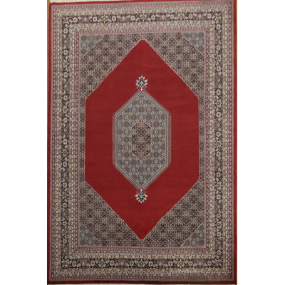 Luxurious Red Traditional Oriental Large Rug 12x18