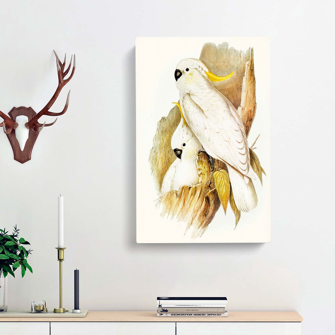Crested Cockatoos by Elizabeth Gould - Wrapped Canvas