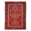 Jaevian Oriental Area Rug