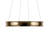 Soft Modern Circular LED Chandelier-111187506-111187507
