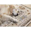 Tapis traditionnel beige Gorrian-128051927