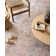 Tapis oriental Gelo