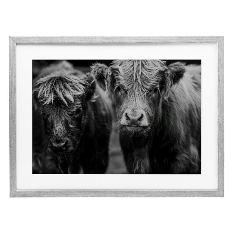 La vache fait face à la ferme, reproduction sous verre, design par Amy Carroll, H 17 po x l 23 po, Cadre de ferme gris