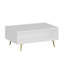 Glorias Coffee Table-106668507