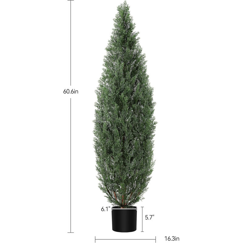 Plant, Brown, 60.6 cm x 13.58 cm