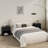 Modern Minimalist Style Large Capacity Nightstand With Hidden Drawer(set Of 2)-1219939691