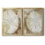 «Dry Sand Dollar I», ensemble de 2 reproductions de photos sur toiles-121000917-121000922