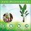 Arbre en pot-525736340