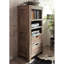 Nature 120cm H x 55cm W Standard Bookcase