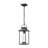 1-Light Outdoor Hanging Pendant Light