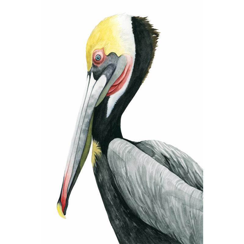 Pelican II - Wrapped Canvas Painting, 12x18