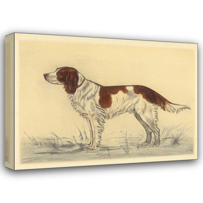 Red Barrel Studio® Collot, Andres Gallery Wrapped Canvas Art Titled: Hunting Dogs, Spaniel