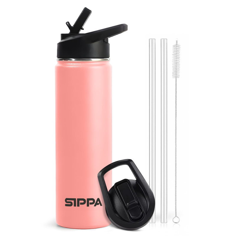 Bouteille isotherme en acier inoxydable SIPPA 22Oz avec couvercle et poignée en paille rabattable, Pêche