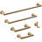 Tetra Pivot Arm Toilet Paper Holder Bath Hardware Accessory in Champagne Bronze-90631166
