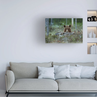 Art sur toile Assaf Gavra