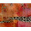 Seasons Summer Print by Ann Golumbuk-26698843