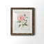Grandiflora II - peinture encadrée-2533513-2533517