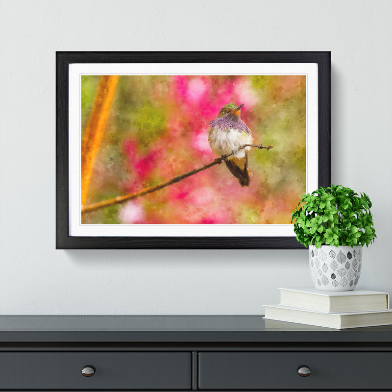 Hummingbird - Picture Frame Graphic Art Print, 27cm H x 36cm W x 2cm D, Black Framed