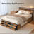 Bed Frame With Storage Drawers-1401011912