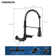 DORNBERG Pull Down Kitchen Faucet