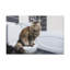 No Frame Print on Canvas-1193880985