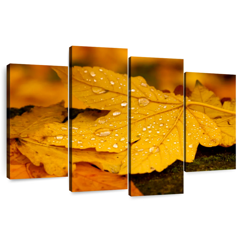 Gouttelettes d'eau Harnek Autumn, H 32 po x l 52 po