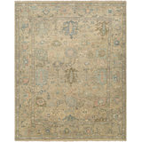 Biscayne Wool Oriental Area Rug