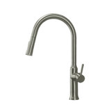 Trova Pull Down Single Handle Kitchen Faucet with Accessories
