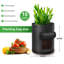 Pot Planter