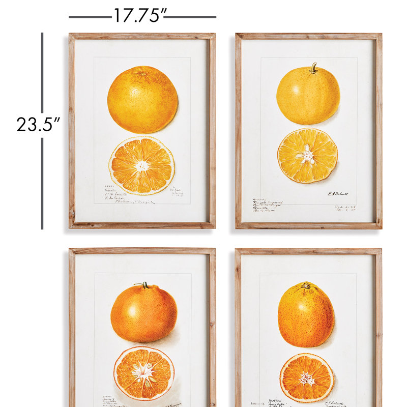 Citrus Study Prints
